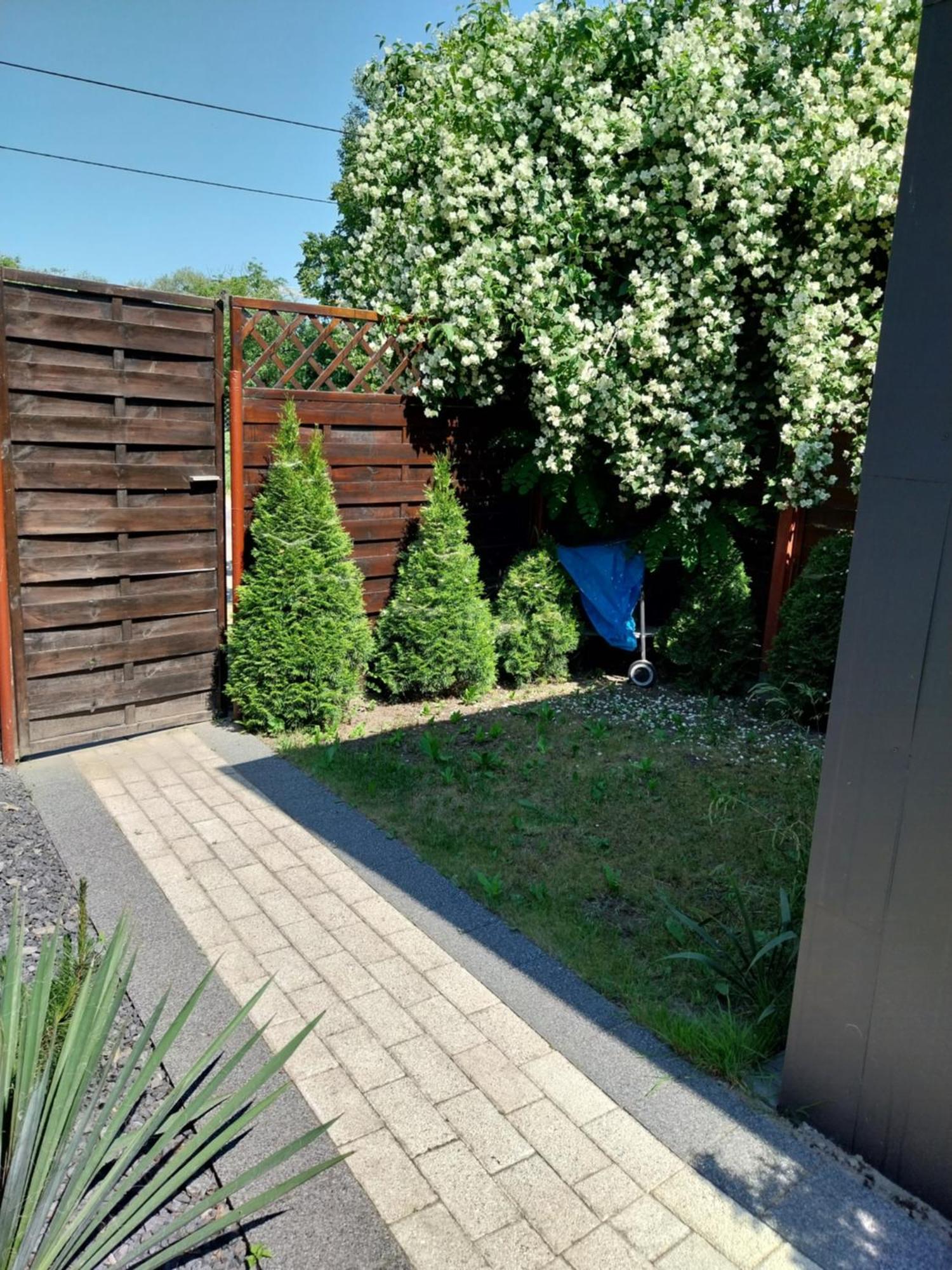 Apartament Antonio 3 Gdańsk Værelse billede